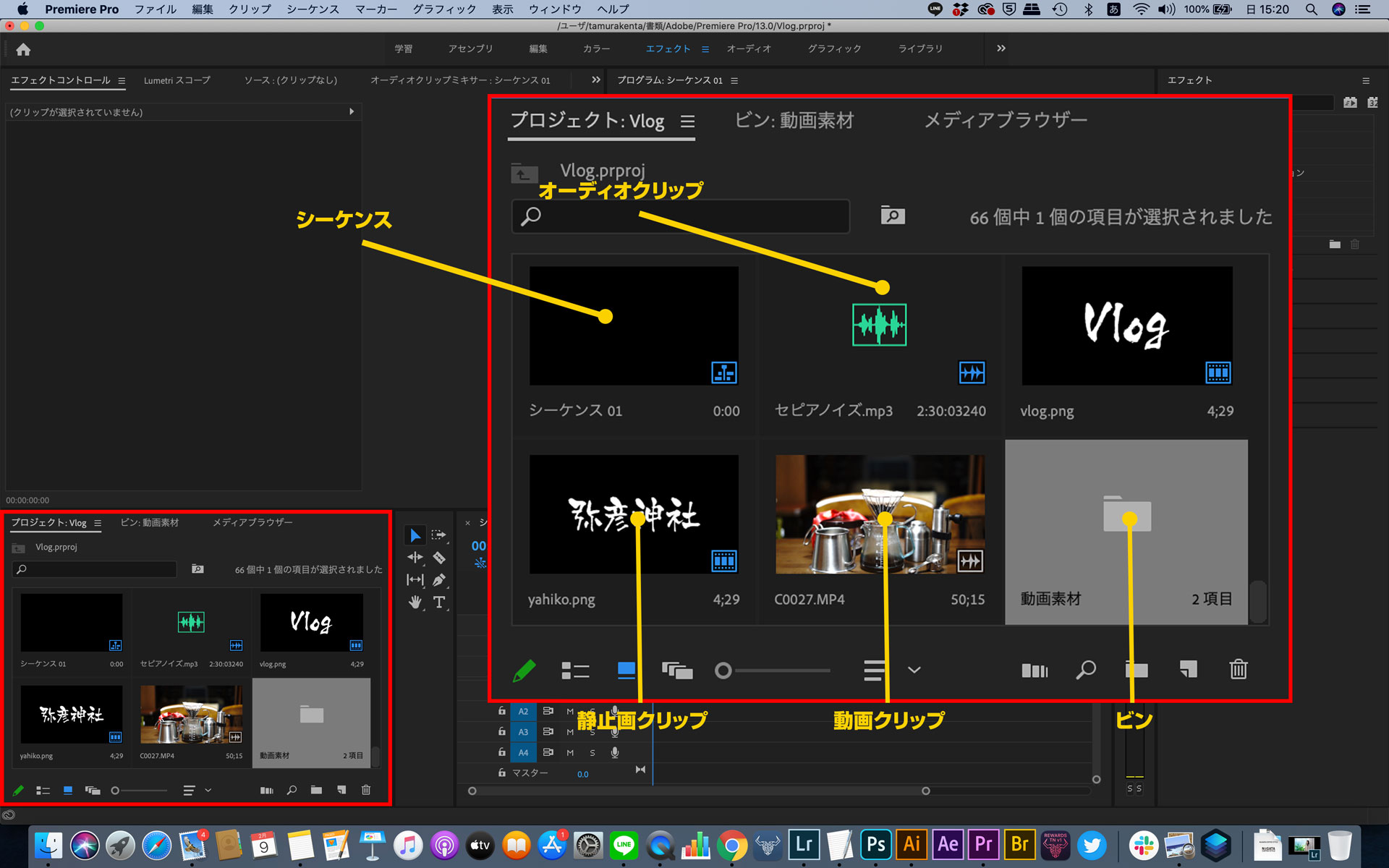 プロジェクトパネルの使い方と生産性を上げる方法 Adobe Premiere Pro 23 クリーティフ Creatif